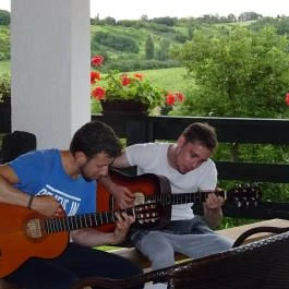 Rejtek Vendégház és Kisrejtek Apartmanház Lispeszentadorján - Medence/kert