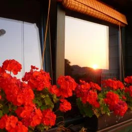 Rejtek Vendégház és Kisrejtek Apartmanház Lispeszentadorján - Egyéb