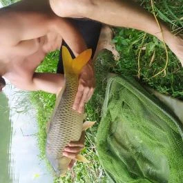 Rejtek Vendégház és Kisrejtek Apartmanház Lispeszentadorján - 