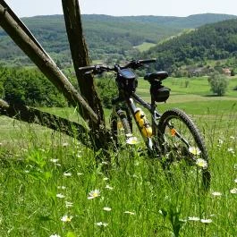 Rejtek Vendégház és Kisrejtek Apartmanház Lispeszentadorján - 