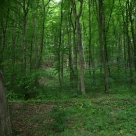 Gyöngyi Vendégház Magyarhertelend - Egyéb