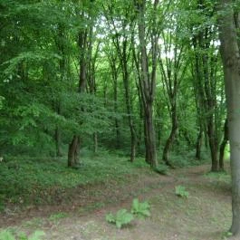 Gyöngyi Vendégház Magyarhertelend - Egyéb