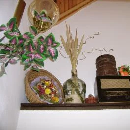 Gyöngyi Vendégház Magyarhertelend - Egyéb