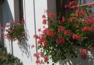 Harangláb Vendégház Magyarpolány