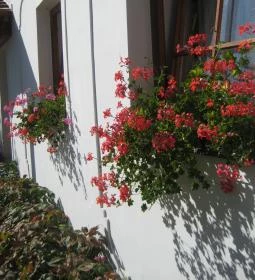 Harangláb Vendégház