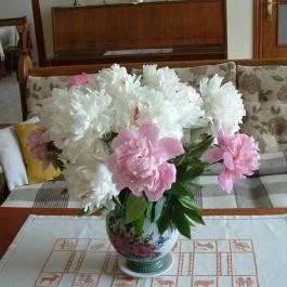 Király Ház Magyarpolány - Egyéb