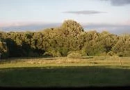 Széna Szálló Magyarpolány