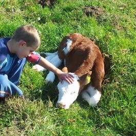 Széna Szálló Magyarpolány - Környék