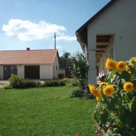 Széna Szálló Magyarpolány - Medence/kert