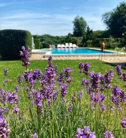 Ginti Panzió Étterme