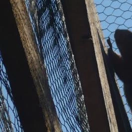 Álombeli Őrségi Házikók Magyarszombatfa - Egyéb