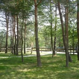 Álombeli Őrségi Házikók Magyarszombatfa - Medence/kert