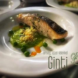 Ginti Panzió Magyarszombatfa - Egyéb