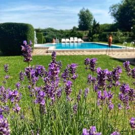 Ginti Panzió Magyarszombatfa - Egyéb