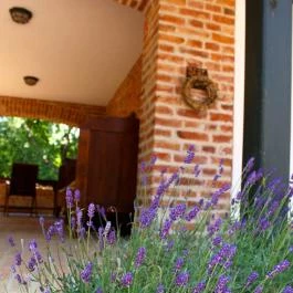 Kosbor Panzió Magyarszombatfa - Egyéb