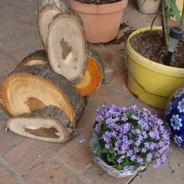 Nyugi Tanya Magyartés - Egyéb