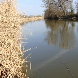 Nyugi Tanya Magyartés - Egyéb