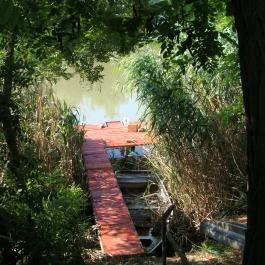 Nyugi Tanya Magyartés - Egyéb