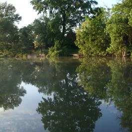 Nyugi Tanya Magyartés - Egyéb