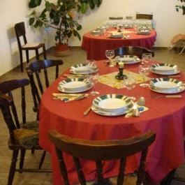 Nyugi Tanya Magyartés - Egyéb