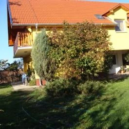 Nyugi Tanya Magyartés - Egyéb