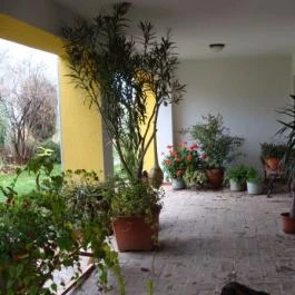 Nyugi Tanya Magyartés - Egyéb