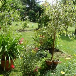 Nyugi Tanya Magyartés - Egyéb