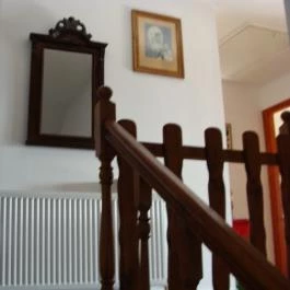 Nyugi Tanya Magyartés - Egyéb