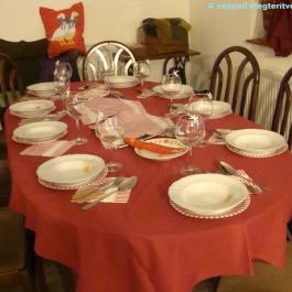 Nyugi Tanya Magyartés - Vendéglátás