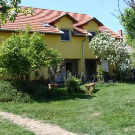 Nyugi Tanya Magyartés - Egyéb