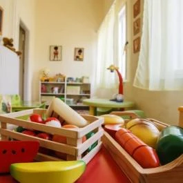 Varázsfészek Vendégház Majs - Egyéb