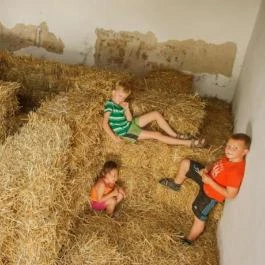 Varázsfészek Vendégház Majs - Egyéb