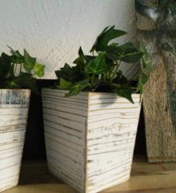 Napsugár Vendégház 