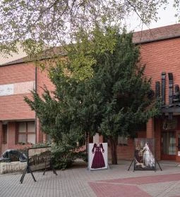 1. legjobb látnivaló: József Attila Városi Könyvtár és Múzeum