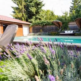 Allium Apartman Makó - Medence/kert