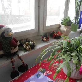 Familia Panzió Makó - Egyéb