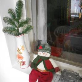 Familia Panzió Makó - Egyéb