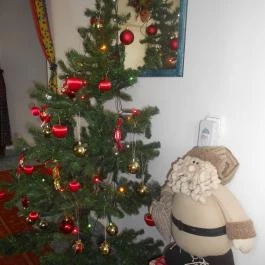 Familia Panzió Makó - Egyéb