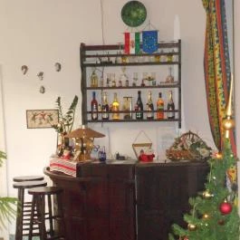 Familia Panzió Makó - Egyéb