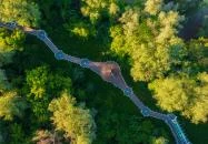 Lombkorona sétány Makó