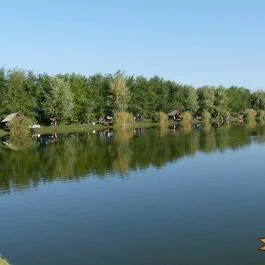 Joó-tó Vendégház Marcalgergelyi - Egyéb