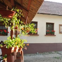 Hangulat Étterem Márianosztra - Egyéb