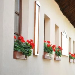 Hangulat Étterem Márianosztra - Egyéb