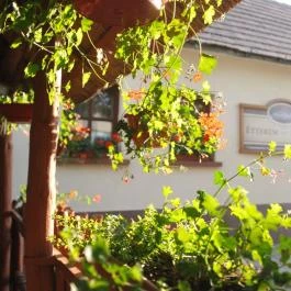 Hangulat Étterem Márianosztra - Egyéb