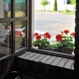 Hangulat Étterem Márianosztra - Egyéb