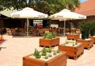 Postakocsi Étterem Martonvásár