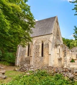 Háromhegyi Pálos templom-és kolostorrom