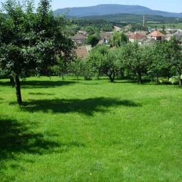 Marika Vendégház Mátraderecske - Medence/kert