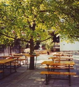 Feketerigó Étterem