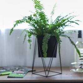 4 Évszak Völgyhotel Mátrafüred - Szobák